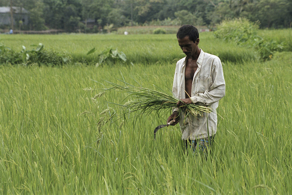 Pradhan Mantri Kisan Samman Nidhi Yojana 