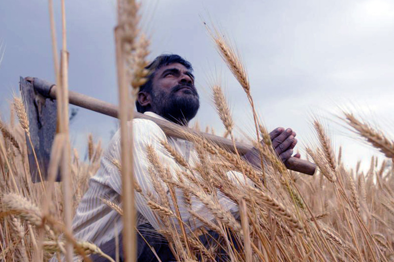 Pradhan Mantri Kisan Samman Nidhi Yojana