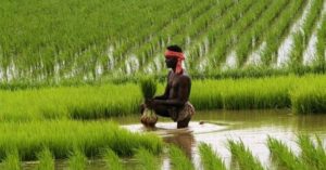 bangla shasya bima yojana in west bengal